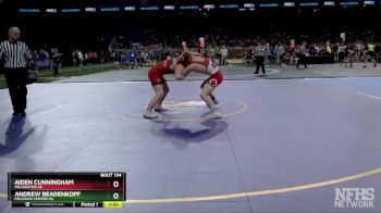 D3-165 lbs Quarterfinal - Andrew Beadenkopf, Michigan Center HS vs Aiden Cunningham, Millington HS