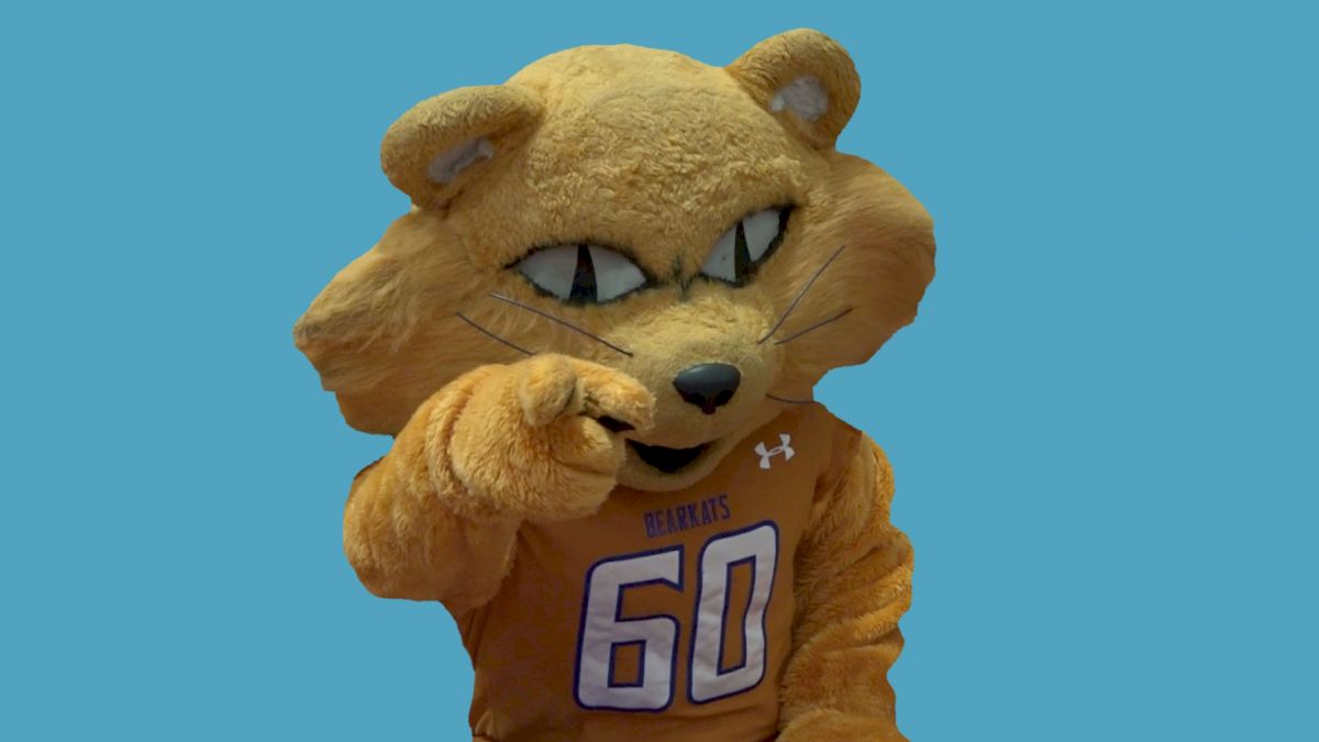 Meet Sammy, The Sam Houston Bearkat!