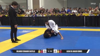 Lucas De Araujo Gomes vs Orlando Fernando Castillo 2025 World Master IBJJF Jiu-Jitsu Championship