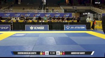 Everton Bresolim Lovatto vs Andrew Ray Harvey 2026 Pan Jiu Jitsu IBJJF Championship