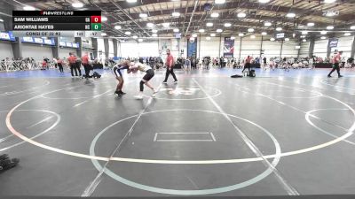 119 lbs Consi Of 32 #2 - Sam Williams, GA vs Ariontae Hayes, NC