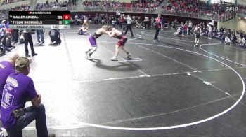 120 lbs Champ. Round 2 - Tyson Brummels, Battle Creek vs Mallet Arvdal, 308 Wrestling Academy