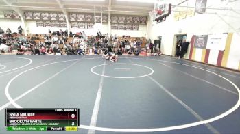 132 lbs Cons. Round 3 - Nyla Naugle, Red Mountain vs Brooklyn White, American Leadership Academy - Gilbert North