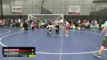 110 lbs Finals (8 Team) - Zane Woodward, Nebraska Silver vs Alex Oedekoven, South Dakota Storm
