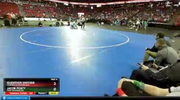 D1-220 lbs Cons. Round 2 - Guenther Switzer, Monona Gr./McFarland vs Jacob Peacy, Port Washington