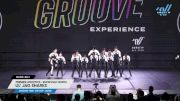 Premier Athletics - Knoxville North - Lil' Jag Sharks [2025 Mini - Hip Hop - Large Day 1] 2025 GROOVE Dance Grand Nationals