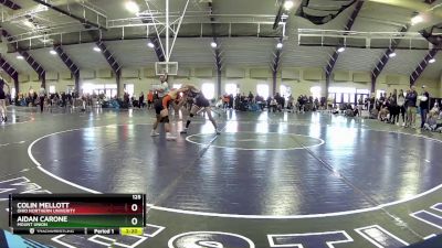 125 lbs Champ. Round 2 - Colin Mellott, Ohio Northern Univerity vs Aidan Carone, Mount Union