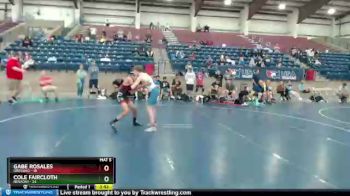 106 lbs Semis & 1st Wrestleback (8 Team) - Gabe Rosales, Oregon2 vs Cole Faircloth, NEVADA1