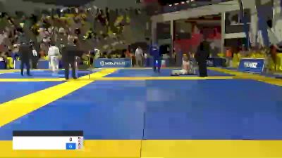 AMANDINE CATHY vs NICOLE SULLIVAN 2019 World Jiu-Jitsu IBJJF Championship