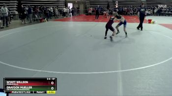 97 lbs Champ. Round 1 - Wyatt Willson, Fergus Falls vs Draydon Mueller, LSH (LeSueur/Henderson)