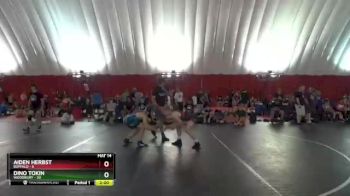 145 lbs Semis & 1st Wb (8 Team) - Dino Tokin, Woodbury vs Aiden Herbst, Buffalo