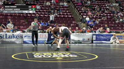139 lbs Consi 2 - Noah Fenner, Easton Area vs Kiovanny Hamlin, Louis E Dieruff