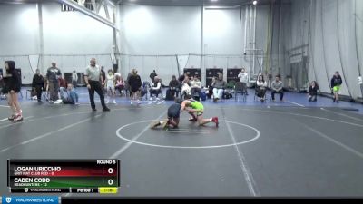 80 lbs Round 5 (6 Team) - Logan Uricchio, Grit Mat Club Red vs Caden Codd, Headhunters