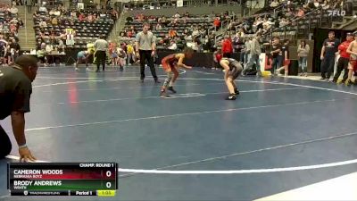 95 lbs Champ. Round 1 - Cameron Woods, Nebraska Boyz vs Brody Andrews, WRATH