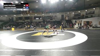 180 lbs Cons. Round 2 - Allison Brandt, York vs Marlo Williams, East Stroudsburg University