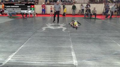 55_B lbs Consi Rd 1 32 #2 - Luca Cortazzo, West Jefferson Hills vs Andrew Volocko, Conemaugh Township