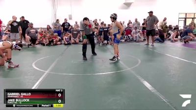 90 lbs Round 5 (8 Team) - Gabriel Gallo, Warhawks vs Jake Bullock, Force WC