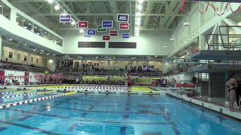 Replay: Amherst vs MIT - Dive - 2025 Amherst vs MIT | Feb 1 @ 4 PM