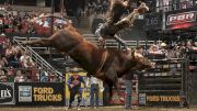 Man vs. Beast: PBR Finals Right Around the Corner