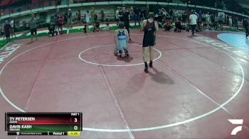 126 lbs Quarterfinal - Ty Petersen, Idaho vs Davis Kash, Oregon