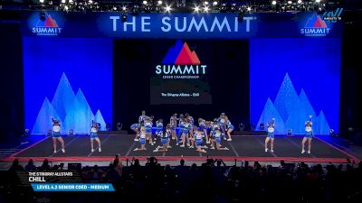 The Stingray Allstars - Chill [2025 L4.2 Senior Coed - Medium Semis] 2025 The Summit