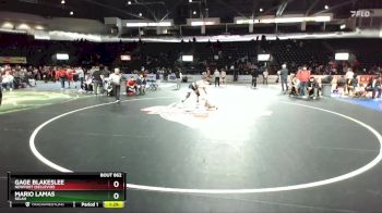 165 lbs Champ. Round 3 - Gage Blakeslee, Newport (Bellevue) vs Mario Lamas, Selah