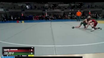 93 lbs Placement (4 Team) - Gauge Johnson, Pierz vs Toby Welle, Holdingford