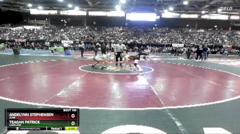 107 lbs Champ. Round 2 - Andelynn Stephensen, Juab vs Teagan Patrick, Lakeland