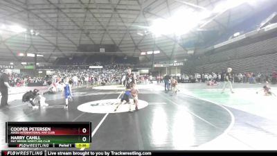 49 lbs Champ. Round 1 - Cooper Petersen, Askeo International Mat Club vs Harry Cahill, Mat Demon Wrestling Club