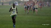 The Pac-12 Men's Race Will be the Best of Conference Weekend