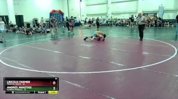 132 lbs Round 3 (6 Team) - Andres Anastasi, Florida Pitbulls vs Lincoln Farmer, Team STL White