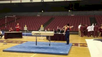 UIC (David Ishida) - 12.100