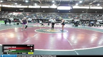 132 lbs Champ. Round 1 - Caddy Tverdy, Garden Valley vs Addison Vieux, Moscow