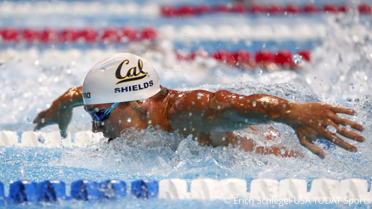 Q&A: Tom Shields, Pt. 1