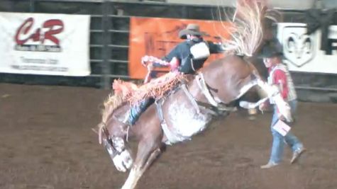 2016  WNFR Saddle Bronc Race to the Gold Buckle