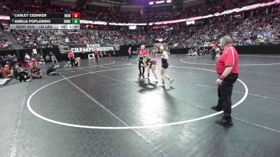 138 lbs Semis - Carley Ceshker, Badger vs Amelia Poplawski, New Berlin W/Eisenhower