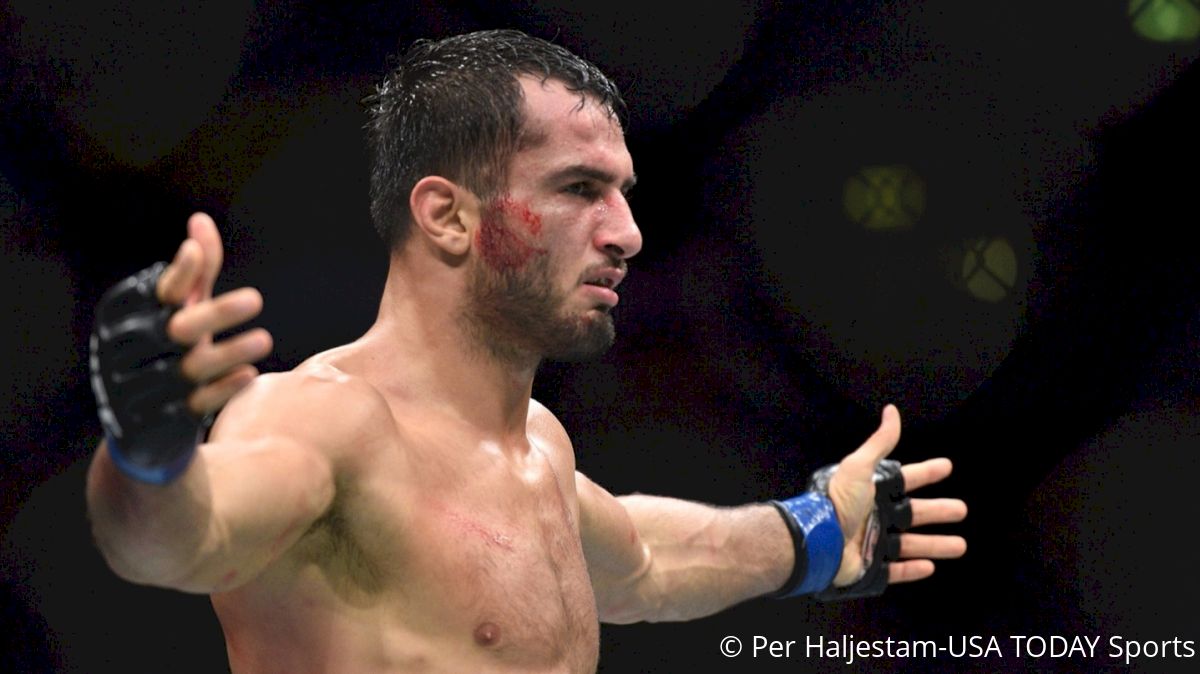 The Violent Calm Of Gegard Mousasi