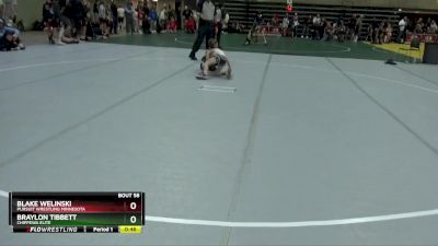 65 lbs Cons. Round 2 - Blake Welinski, Pursuit Wrestling Minnesota vs Braylon Tibbett, Chippewa Elite