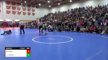 113 lbs Semifinal - Johnny Green, Aurora vs Mason Rohr, Massillon Perry