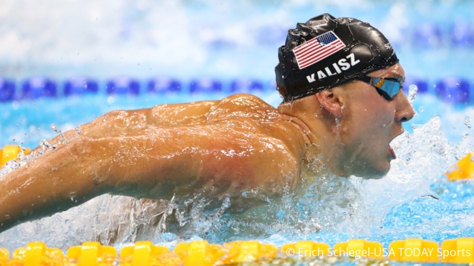 ChaseSwimsFly.jpg