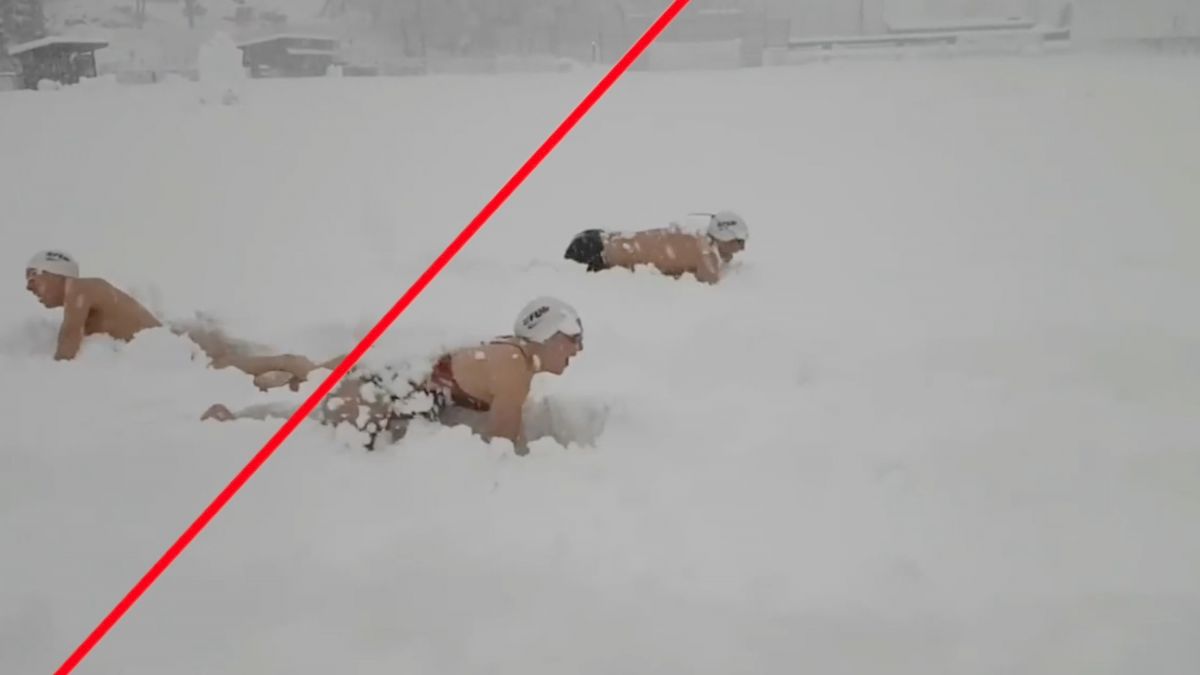 6 Swimming Videos You Need to See