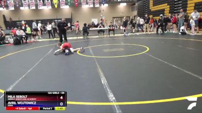 65 lbs Round 5 - Mila Sebolt, Sebolt Wrestling Academy vs Avril Wojtowicz, Iowa