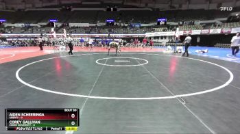 125 lbs Placement (16 Team) - Corey Gallivan, Coker University vs Aiden Scheeringa, Liberty