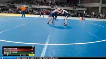 125 lbs Semis (4 Team) - Donavin Ward, Hastings vs Noah Schaefer, Z-M (Zumbrota-Mazeppa)