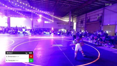 120 lbs Rr Rnd 1 - Vincent Amorosa, Black Fox Wrestling Academy vs Aiden Vazquez, Brighton WC