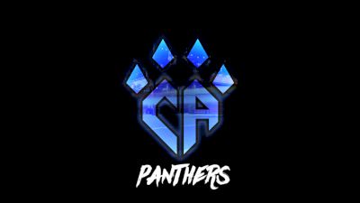 Meet The MAJORS: Cheer Athletics Panthers