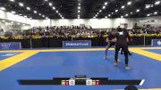 Brianna Ste-Marie vs Lillian Marchand 2025 World IBJJF Jiu-Jitsu No-Gi Championship