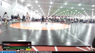 123 lbs Cons. Round 2 - Nicole Rodriguez, Adrian vs Aubree Kuhns, Indiana Tech