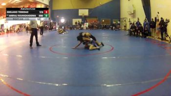 113 lbs Cons. Round 2 - Emiliano Trinidad, Tustin vs Amirali Rouhighadsinia, Northwood