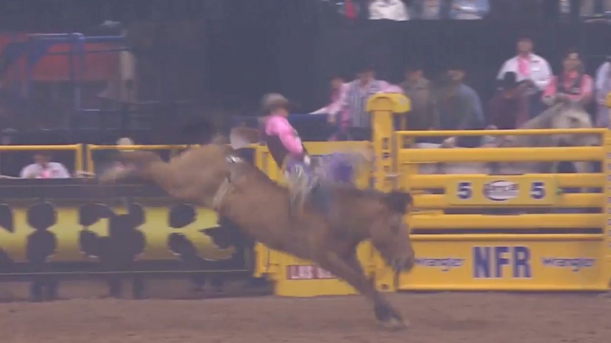 Q&A: Jake Brown Discusses Technique In Bareback Riding